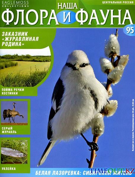 Наша флора и фауна №95 2014